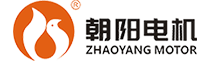 湖南朝陽(yáng)電機泵業(yè)集團有限公司